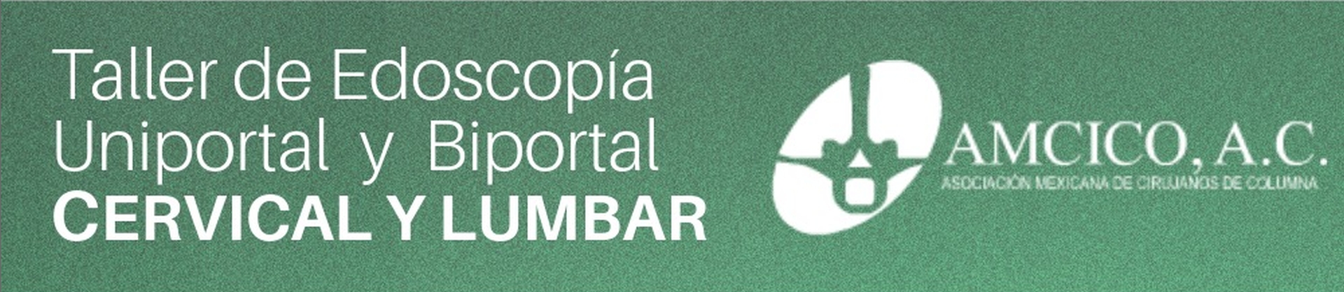 Taller de Endoscopia Uniportal y Biportal
